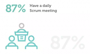 scrum中文网scrum行业报告16