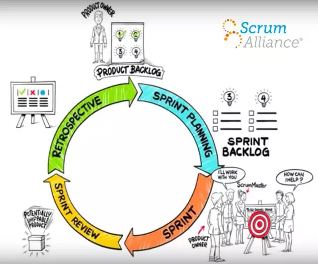scrum中文网scrum行业报告4